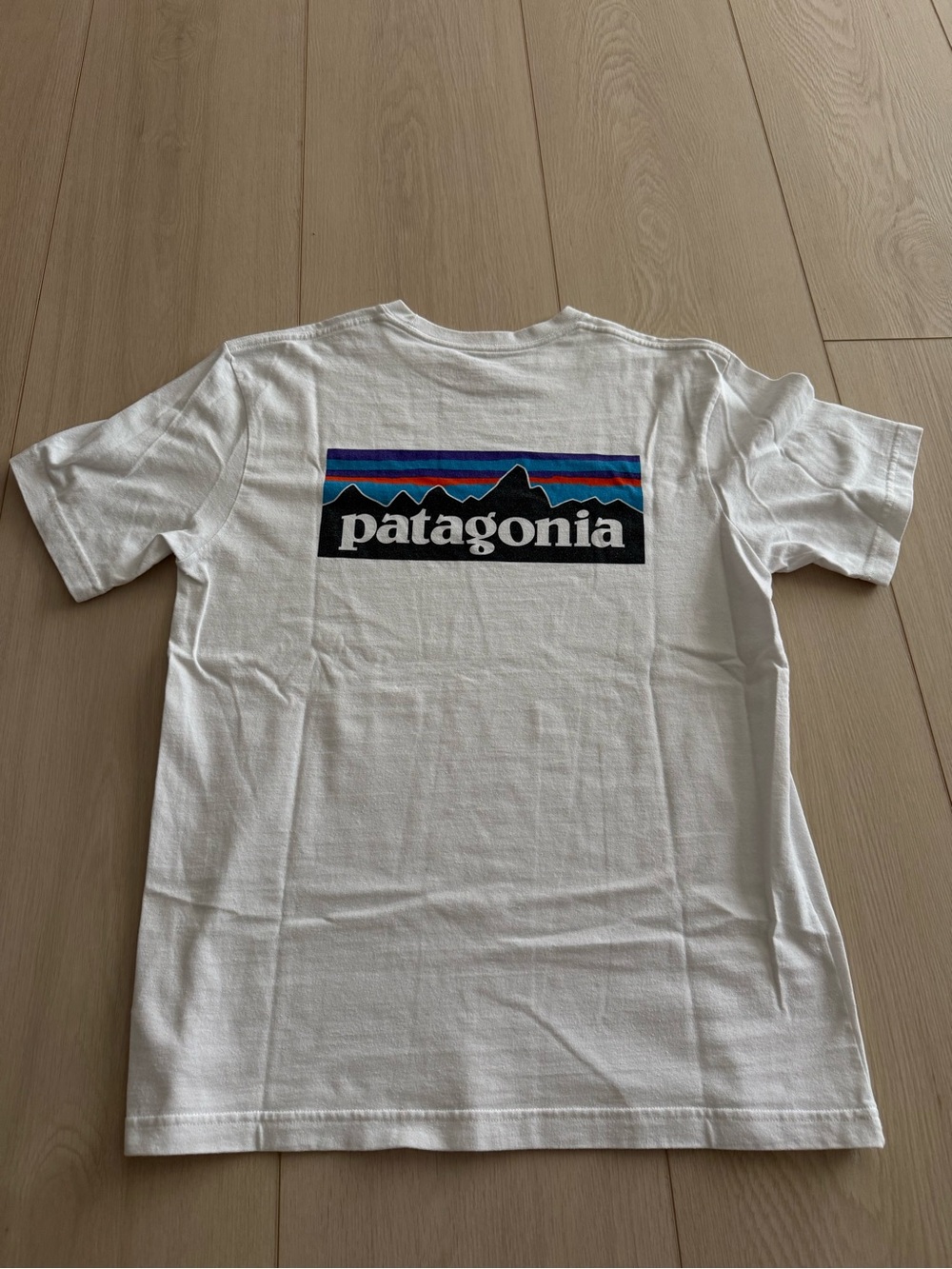 Patagonia White Short Sleeve Tee with Multicolor Mountain Logo
